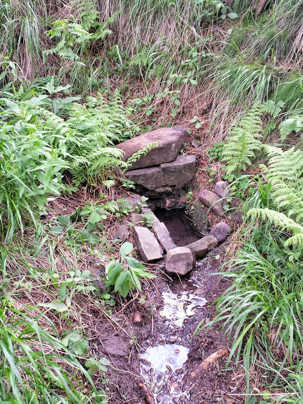 studánka V Tanečnici (9857) - květen 2015