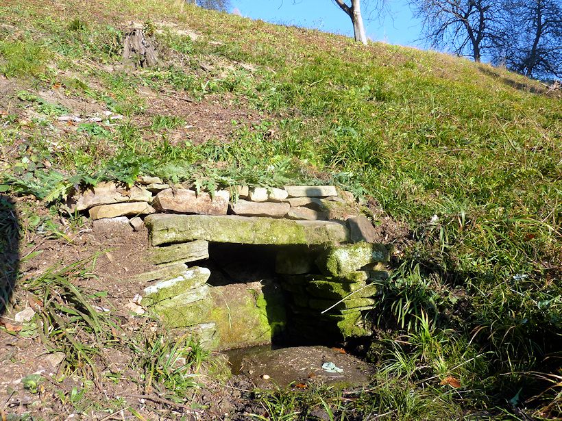 studánka Pod Nedbálkama (9861) - květen 2015