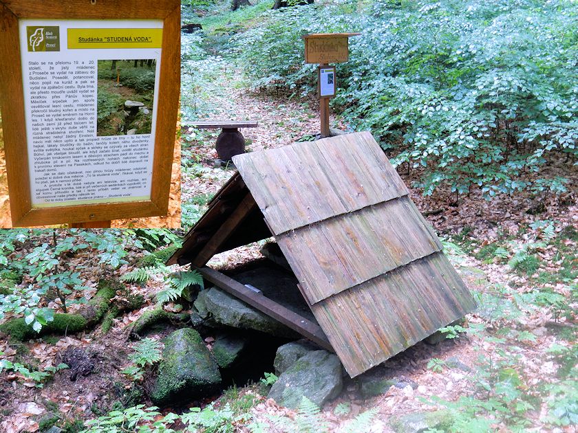 studánka Studená voda (9874) - červen 2015