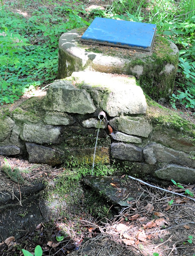 studánka Dominikální (9875) - červen 2015