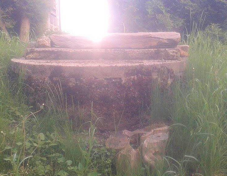 studánka bez jména (9896) - červen 2015