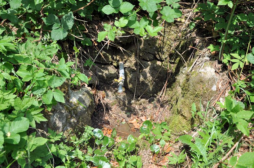 studánka Pod lesem (9899) - červen 2015