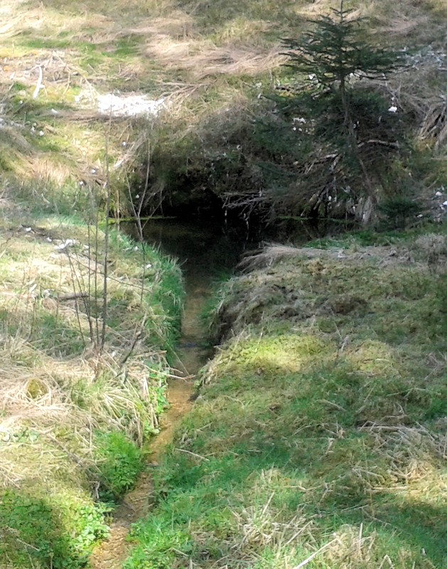studánka bez jména (9907) - červen 2015