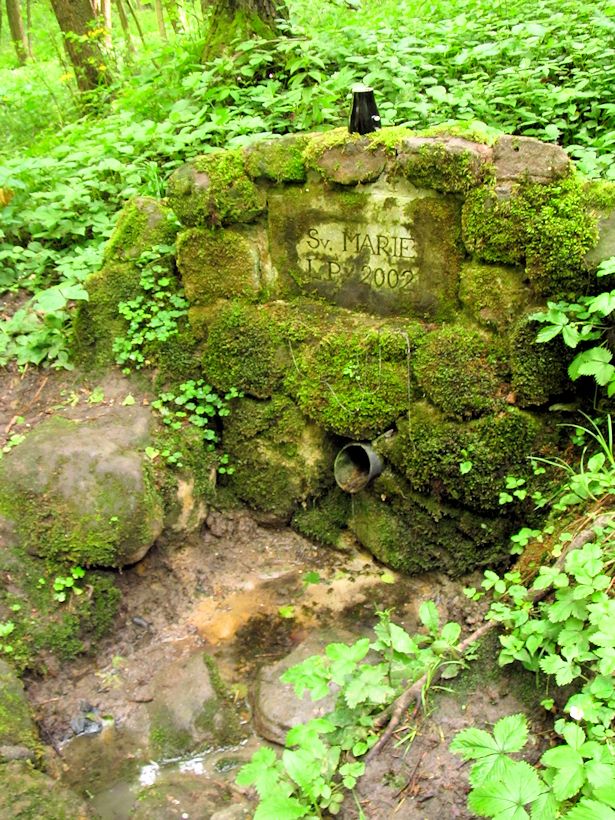 Studánka sv. Marie (9908) - červen 2015