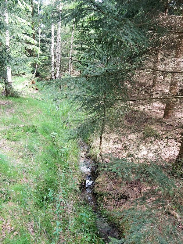 pramen Nad Lubenským rybníkem (9915) - červen 2015