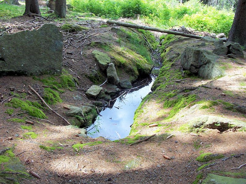 studánka U mravenčí stezky (9923) - červen 2015