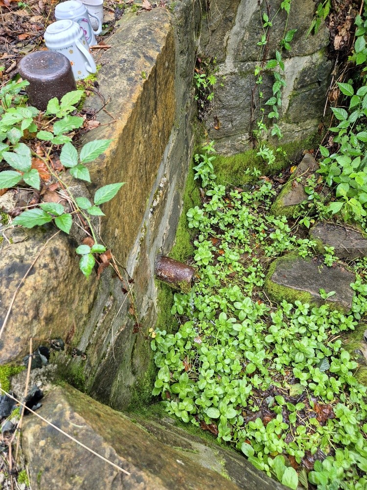 Dynkova studánka (9924) - srpen 2025