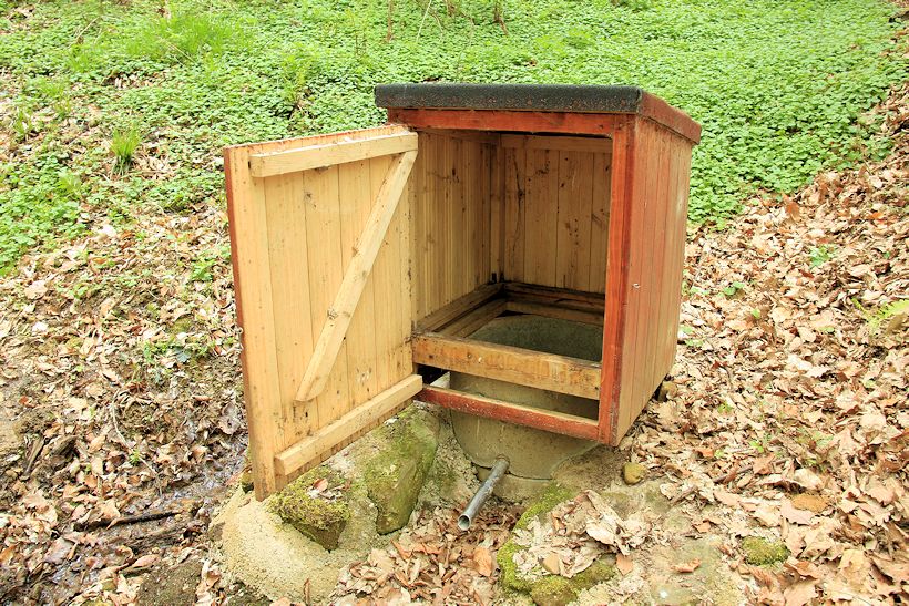 studánka V Čagánkovém žlebu (9928) - červen 2015
