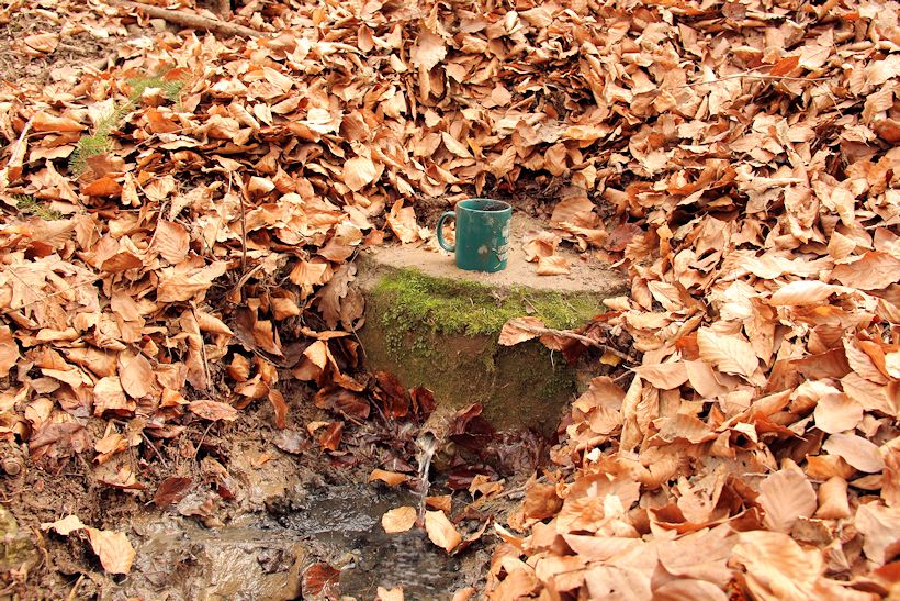 studánka Pod Rákošem (9930) - červen 2015