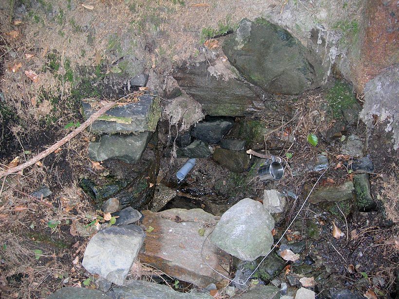 pramen Prdlavá studánka (9947) - červenec 2015