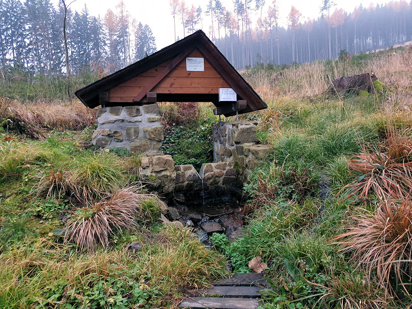 studánka U korýtka (9970) - listopad 2021