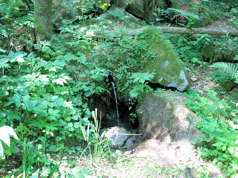 pramen Pod lomem (9978) - červenec 2015