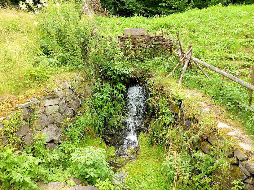 studánka Z Dešťové víly (9995) - červenec 2015