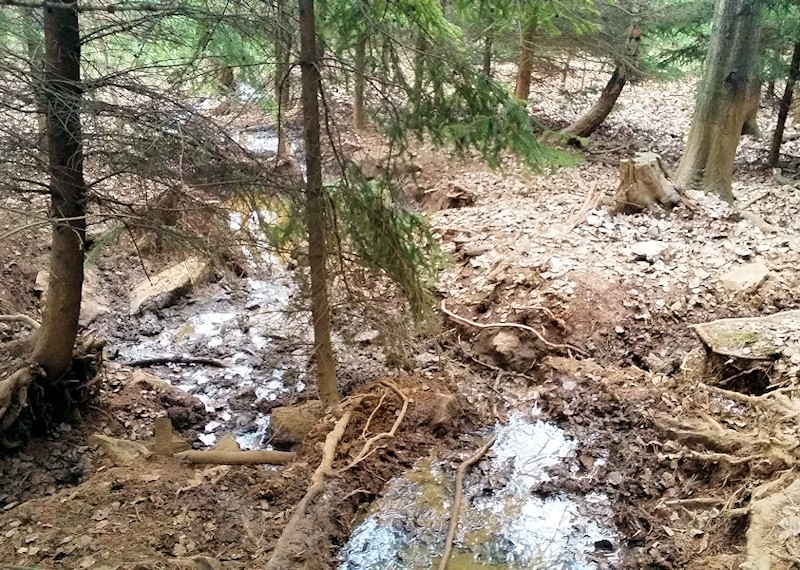 prameniště bez jména (10528) - březen 2016