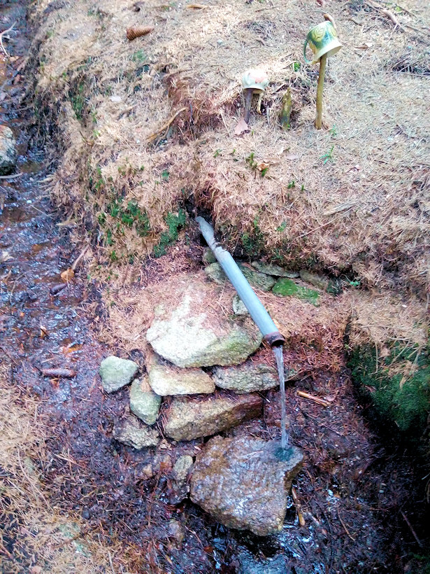 studánka Ivanův pramen (10542) - duben 2021