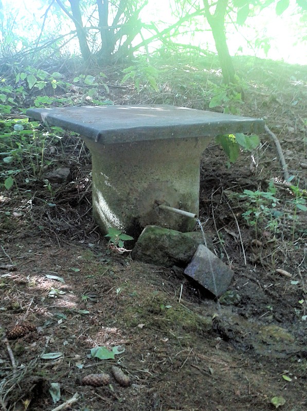 studánka bez jména (10551) - duben 2016