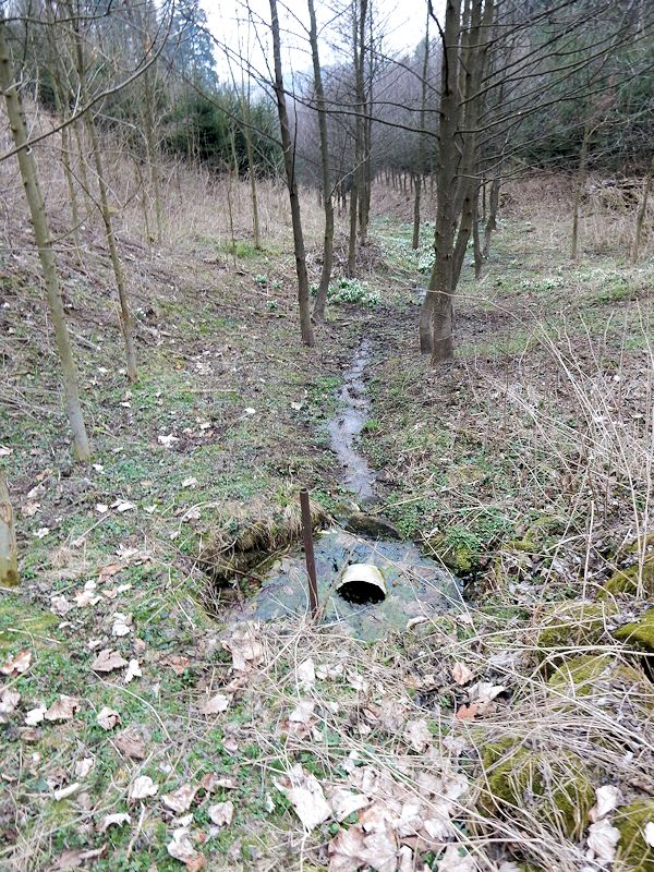 Kočtinská studánka (10559) - duben 2016