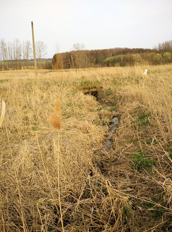 pramen Nad Hvězdičkou (10571) - duben 2016