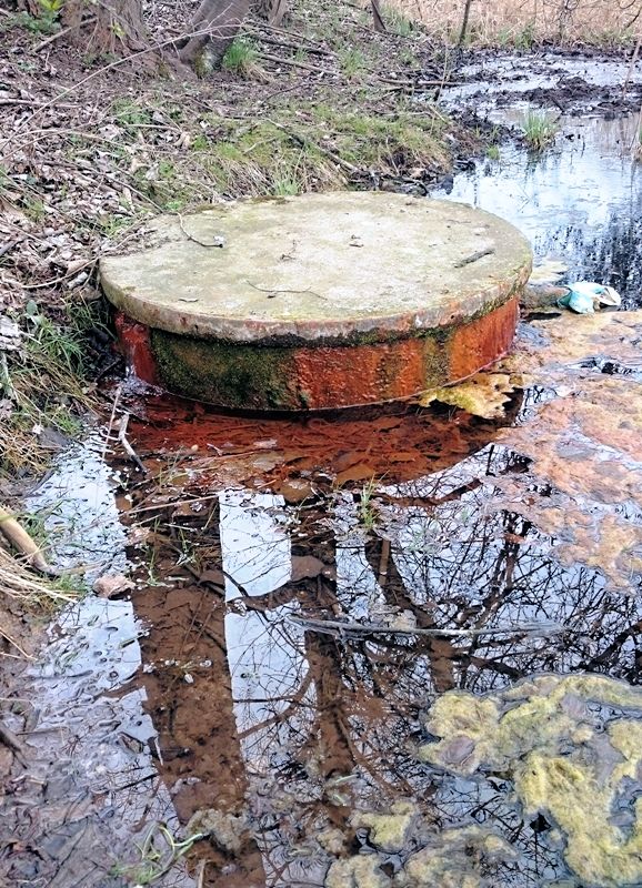 studánka U paní Lídy (10577) - duben 2016