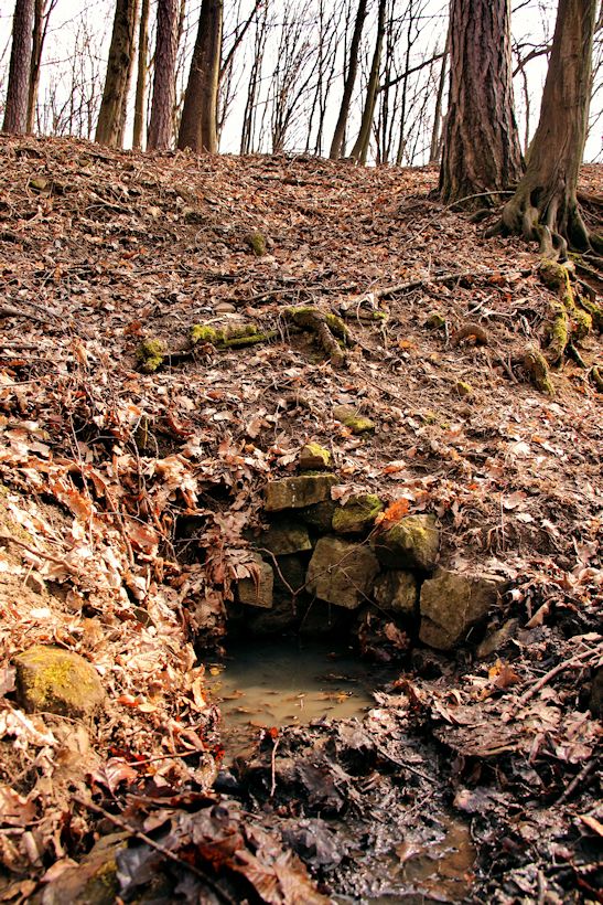 studánka V Sázanici (10579) - duben 2016