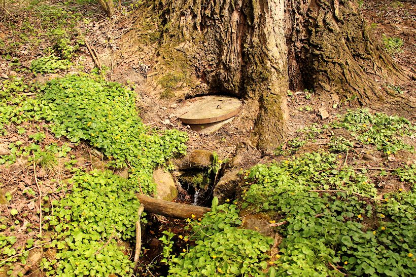 studánka V Soudných (10580) - duben 2016
