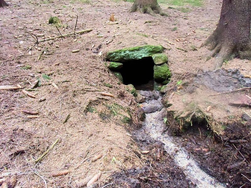 studánka Vraní Kout (10587) - duben 2016