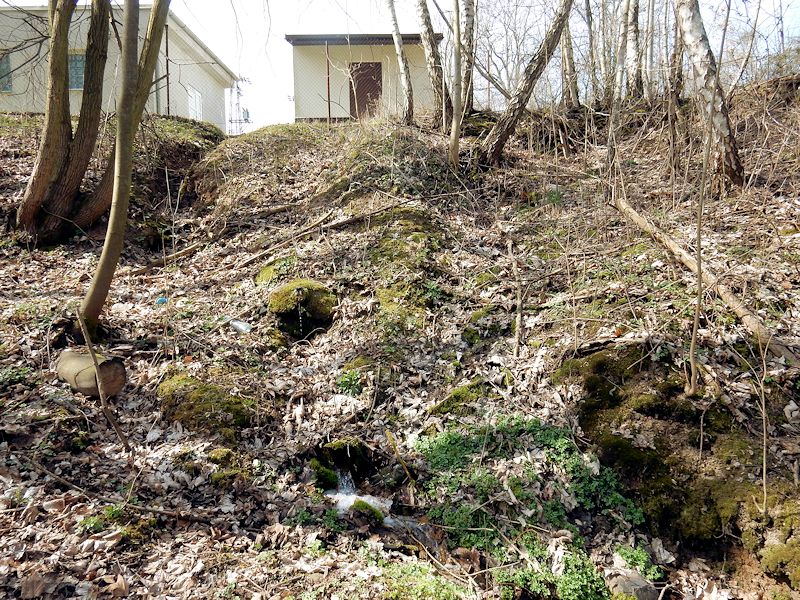jiný vodní zdroj Pacovka (10591) - duben 2016