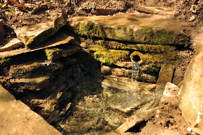 studánka U Dřevojanky (10601) - duben 2016