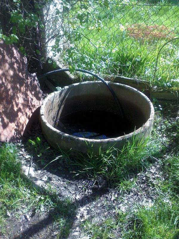 studánka bez jména (10611) - duben 2016
