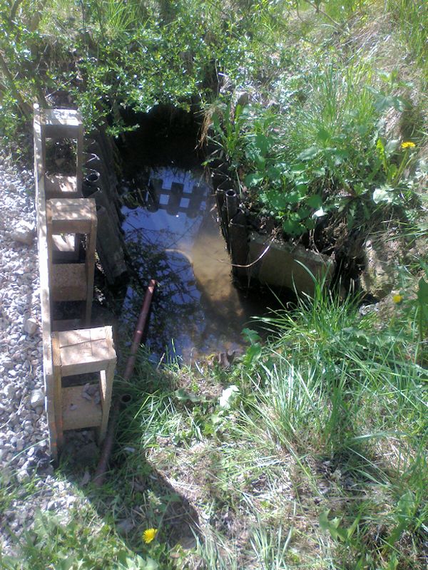studánka bez jména (10612) - duben 2016