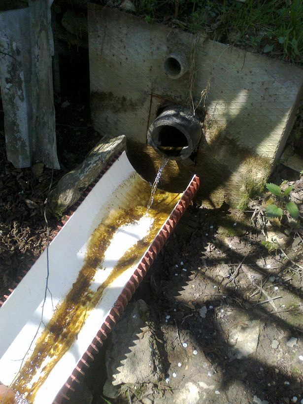 studánka bez jména (10613) - duben 2016