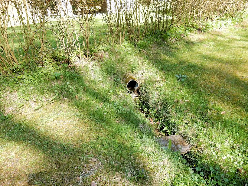 studánka Pod chatou 1 (10624) - duben 2016