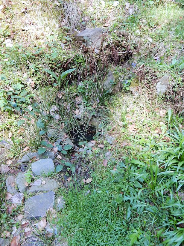 studánka Pod chatou 2 (10625) - duben 2016