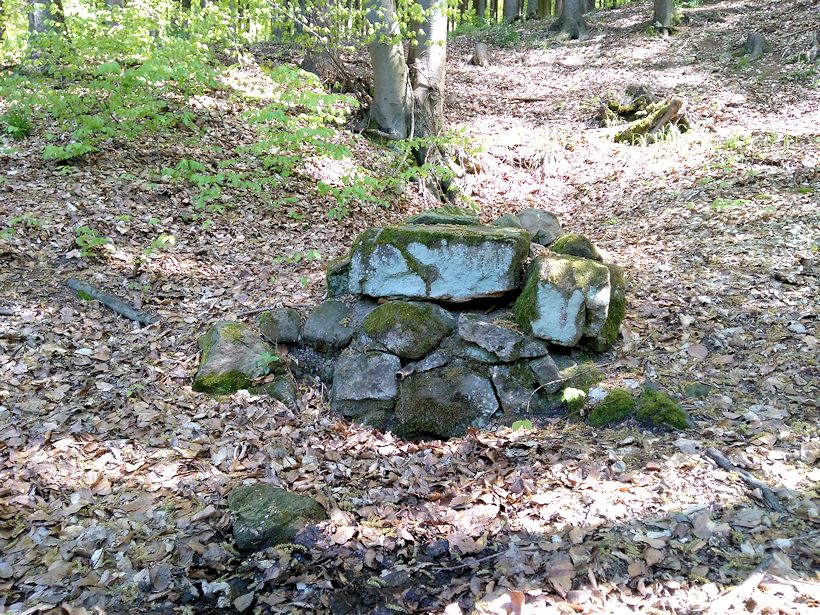 Knedlíkova studánka (10647) - květen 2016