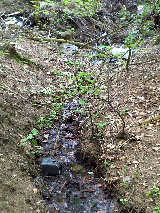 studánka Pálavský potok 2 (10654) - květen 2016