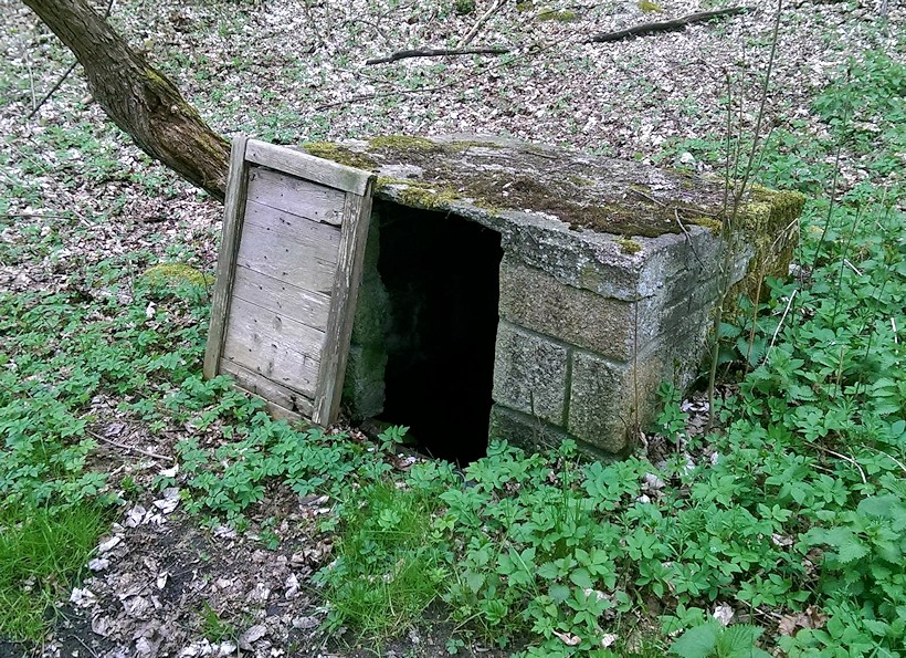 studánka Landštejnská  (10662) - květen 2016