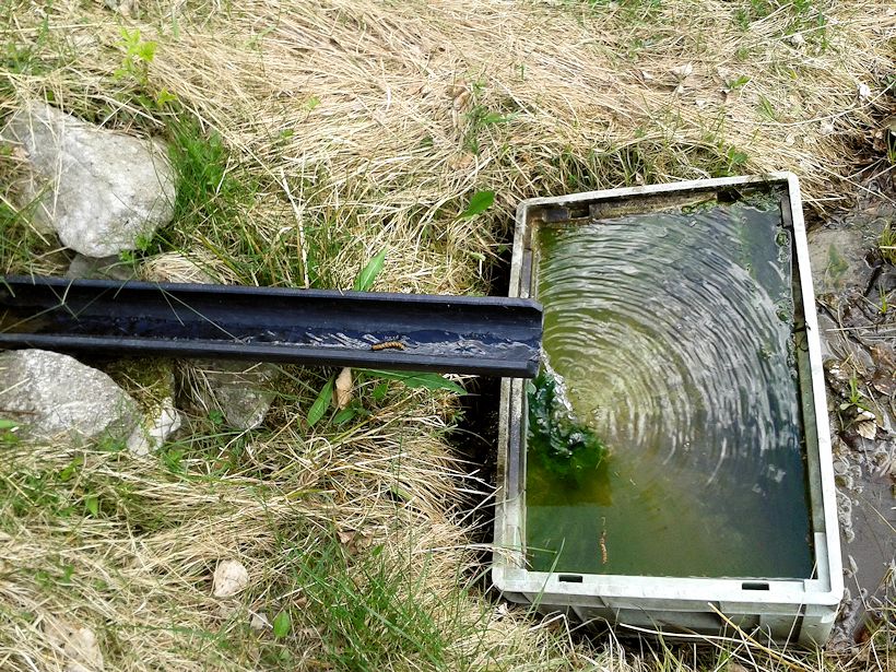 studánka Činov (10665) - květen 2016