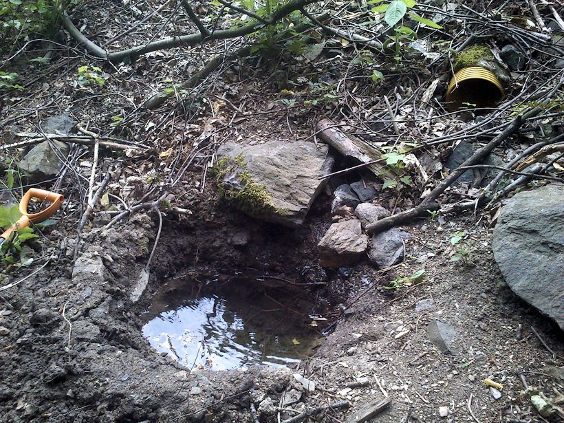 studánka Žlební (10668) - květen 2016