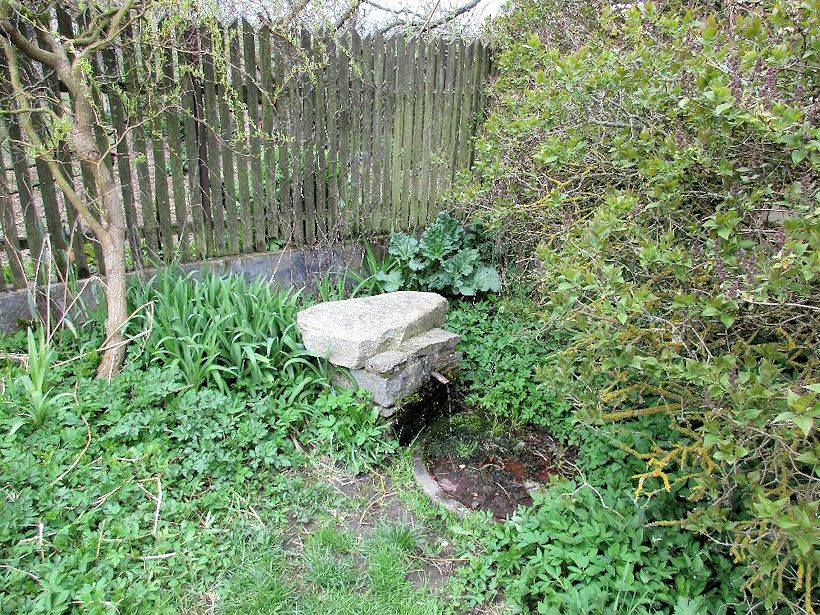 studánka U Hejtmánkova mlýna (10676) - květen 2016