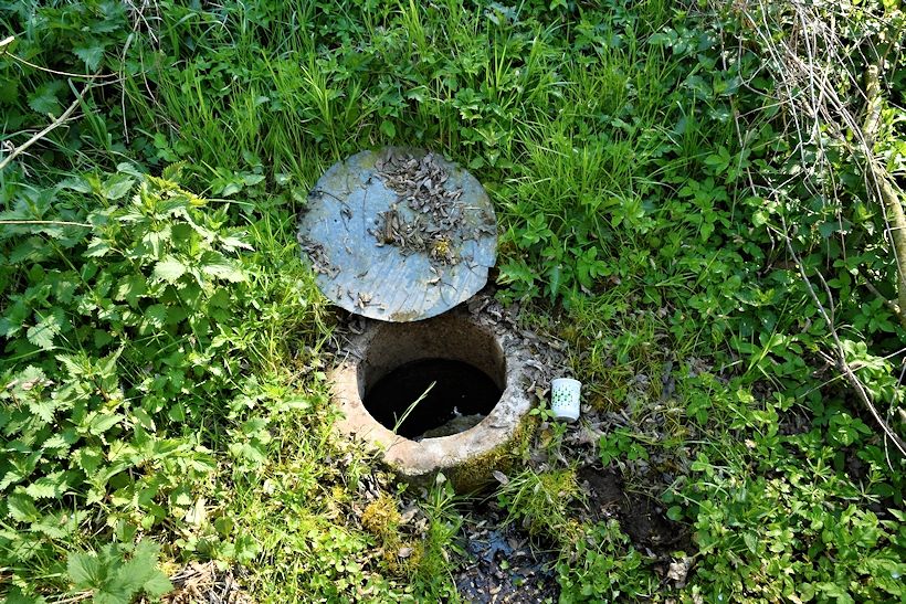 studánka bez jména (10680) - květen 2016