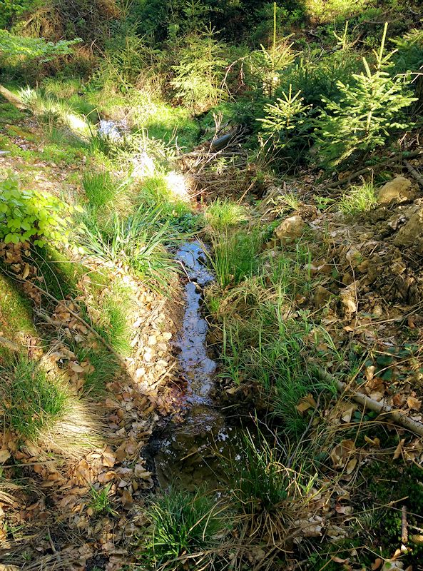 Vadětínská studánka (10685) - květen 2016