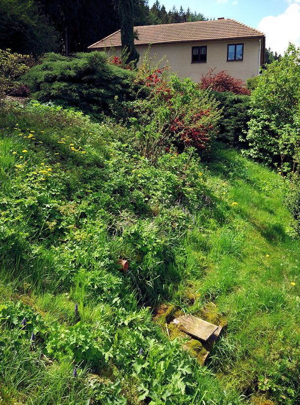 studánka Ve stráni (10701) - květen 2016