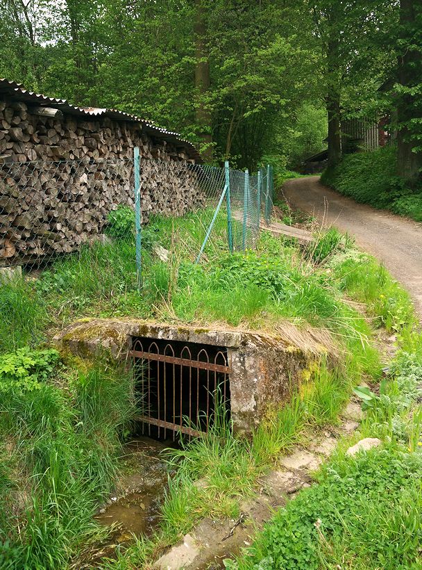 studánka U školy (10705) - květen 2016