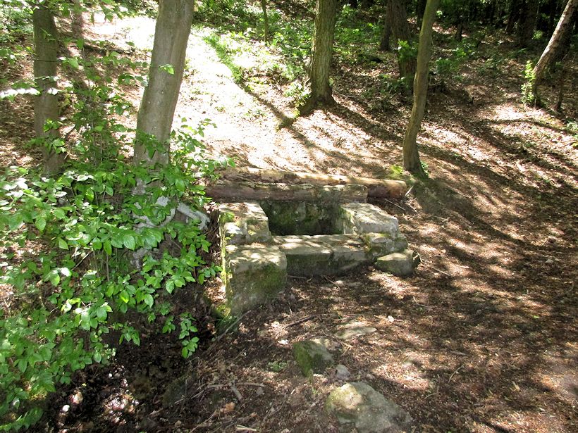 studánka Budonice (10707) - květen 2016