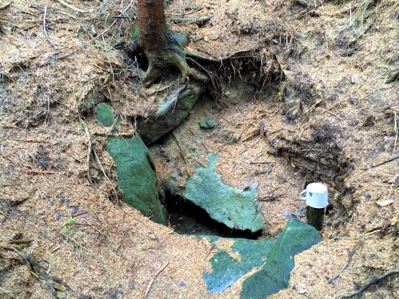 studánka Královka (10708) - květen 2016