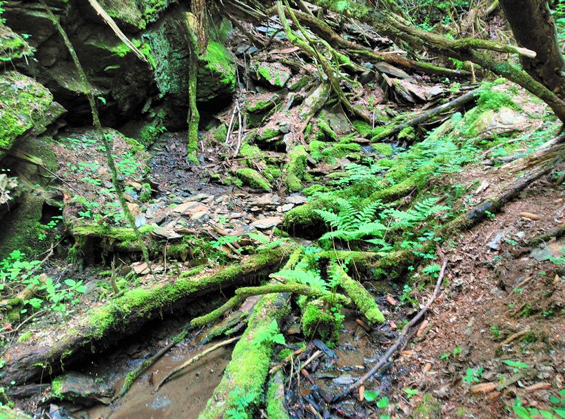 pramen Pod Svatoslaví (10725) - květen 2016