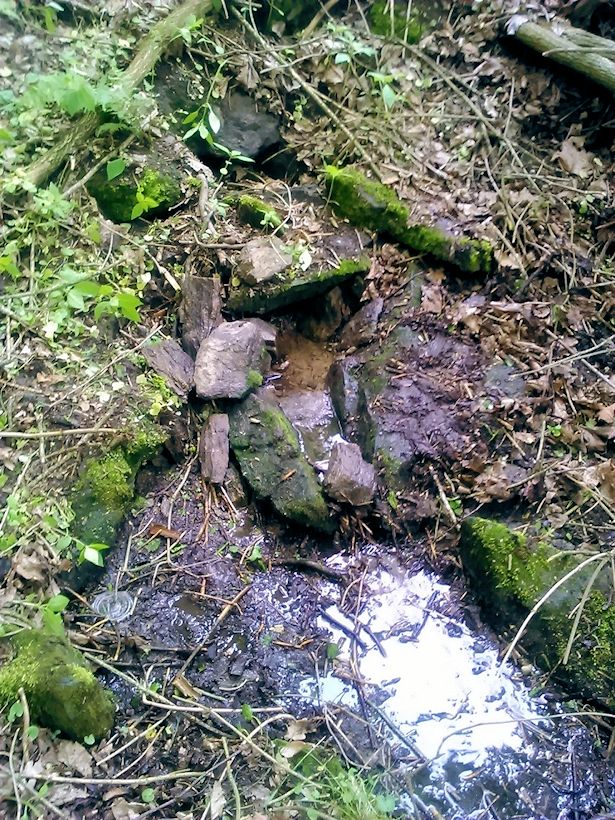 studánka Obora (10730) - květen 2016