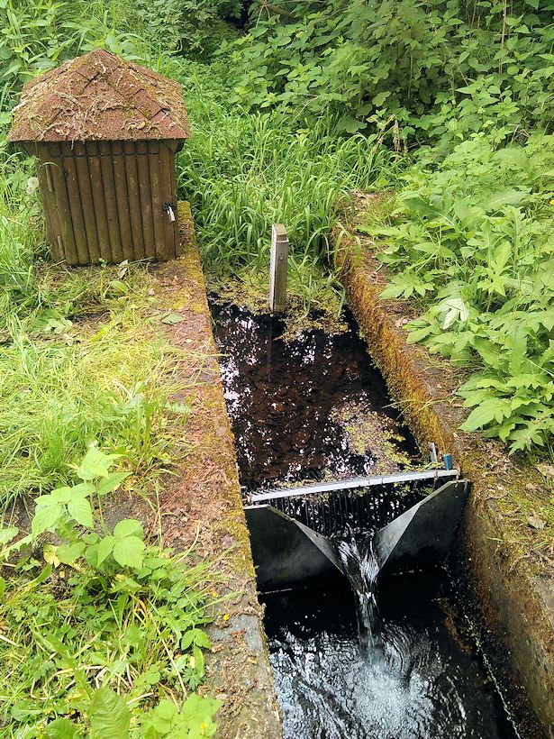 pramen Zhůřská studánka (10734) - červen 2016