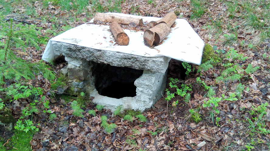 studánka Pod Roubeným (10738) - květen 2019