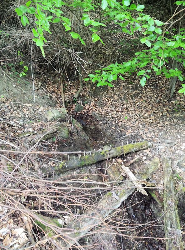 studánka Nad sv. Václavem (10752) - červen 2016